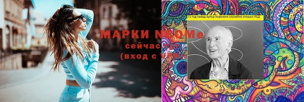 apvp Алексин