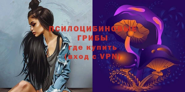 бошки Абдулино