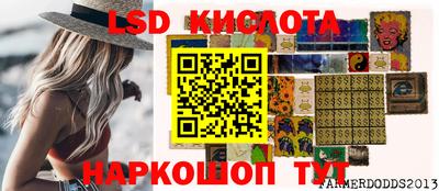 индика Гусев