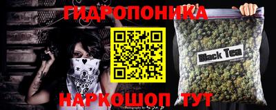 индика Гусев