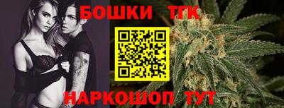 индика Гусев
