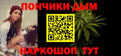 индика Гусев