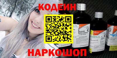 индика Гусев