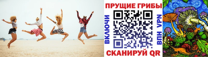 магазин продажи наркотиков  hydra ТОР  Галлюциногенные грибы ЛСД  Учалы 