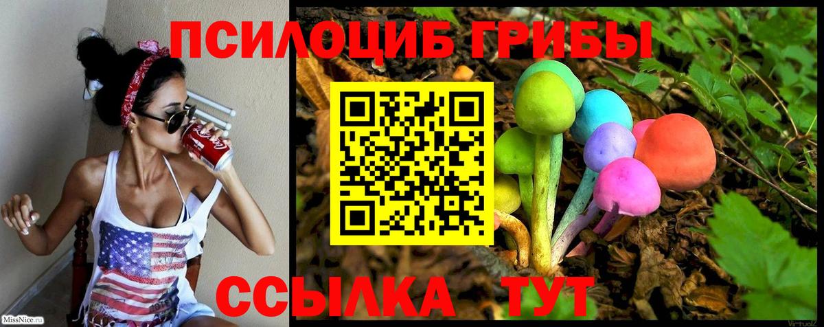 Псилоцибиновые грибы Cubensis Учалы
