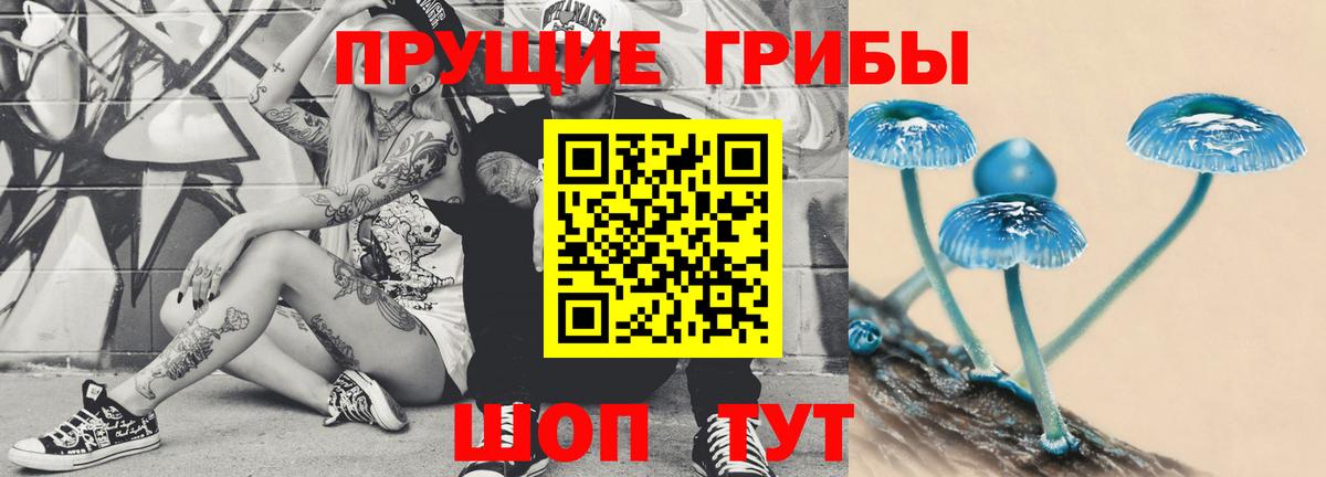 Галлюциногенные грибы Psilocybe  Псилоцибиновые грибы Magic Shrooms  Вход с VPN  Учалы 